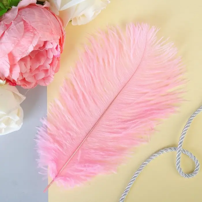 Перо для декора 1 шт., размер 20-24 см, цвет розовый Перо для декора 1 шт., размер 20-24 см, цвет розовый