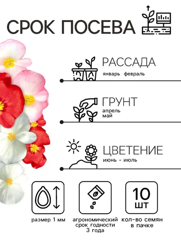 Семена  цветов Бегония вечноцветущая  Семена  цветов Бегония вечноцветущая "Сенатор F1", смесь, О, 10 шт