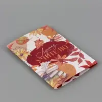 Подарочный набор &laquo;Учитель&raquo;, пакет и открытка, ML 27 &times; 23 &times; 11,5 см