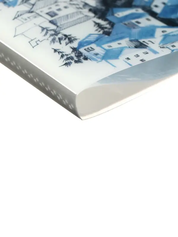 Папка формат А4, с 60 прозрачными файлами &laquo;Город&raquo;, МИКС