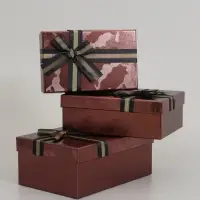 Набор подарочных коробок 3 в 1, прямоугольные 23&times;16&times;9.5 21&times;14&times;8.0 19&times;12&times;6.5 см