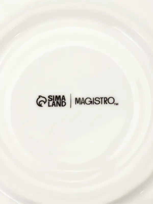 Чайная пара Magistro "Бланш" чашка  250 мл