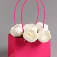 Сумка переноска для цветов, влагостойкая, фуксия, 22&times;10.5&times;13.5 см