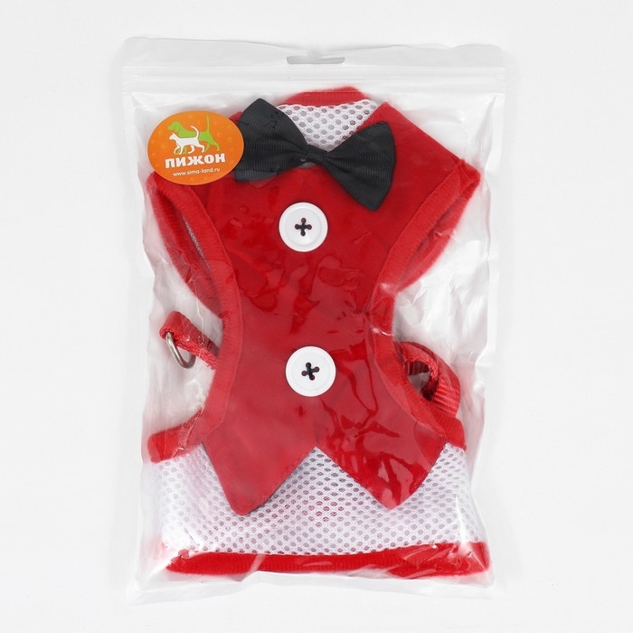 Комплект с мягкой шлейкой и бантиком, размер L, поводок 120 x 1,5 см, ОГ 35-50 см, красный Комплект с мягкой шлейкой и бантиком, размер L, поводок 120 x 1,5 см, ОГ 35-50 см, красный