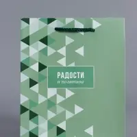 Пакет подарочный ламинированный &laquo;Радости и позитива&raquo;, зелёный, 18&times;22.3&times;10 см