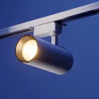Трековый светильник Luazon lighting, TSL-013, 30 Вт, 2100 Лм, 2800K, белый, свечение тёплое белое