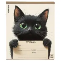 Тетрадь 12 листов в линейку ErichKrause Note Friends, МИКС