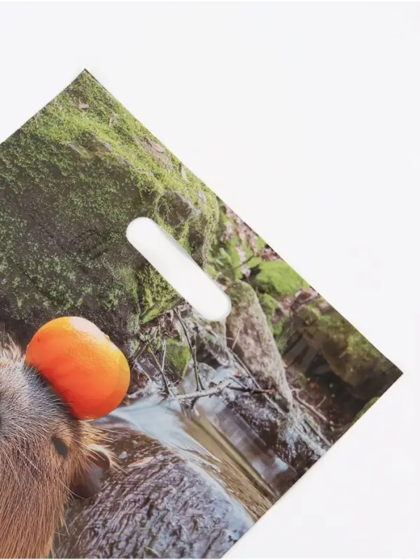 Пакет подарочный &laquo;Капибара&raquo;, полиэтиленовый с вырубной ручкой, 30&times;40 см 50 мкм