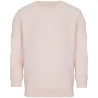 Свитшот детский Columbia Kids, розовый, на рост 96-104
