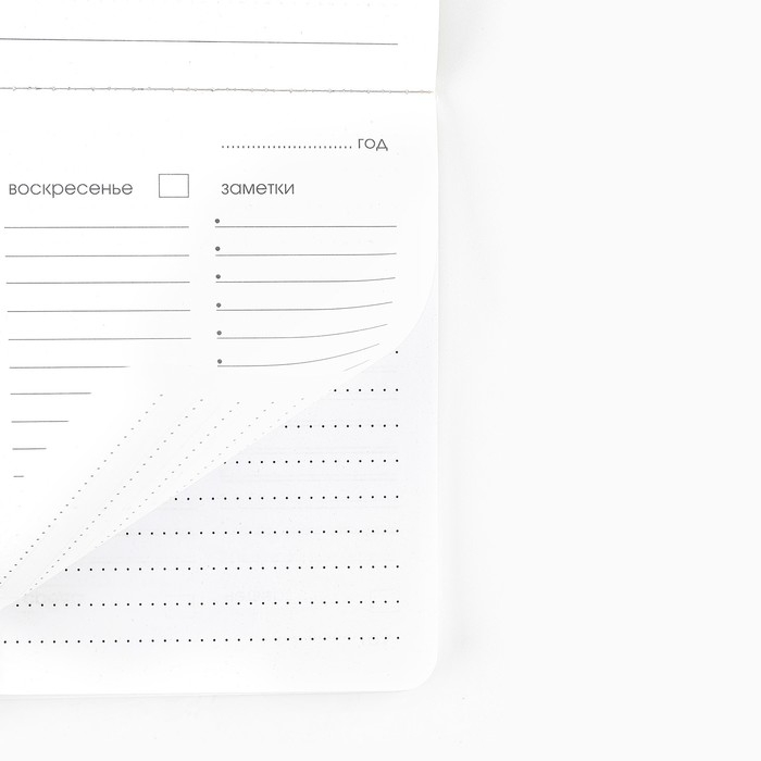 Планинг в мягкой обложке софт-тач А5, 60 листов PROвыбор «Черный»