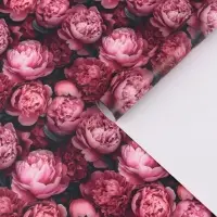 Бумага упаковочная, глянцевая &laquo;Пионы&raquo; 60&times;90 см
