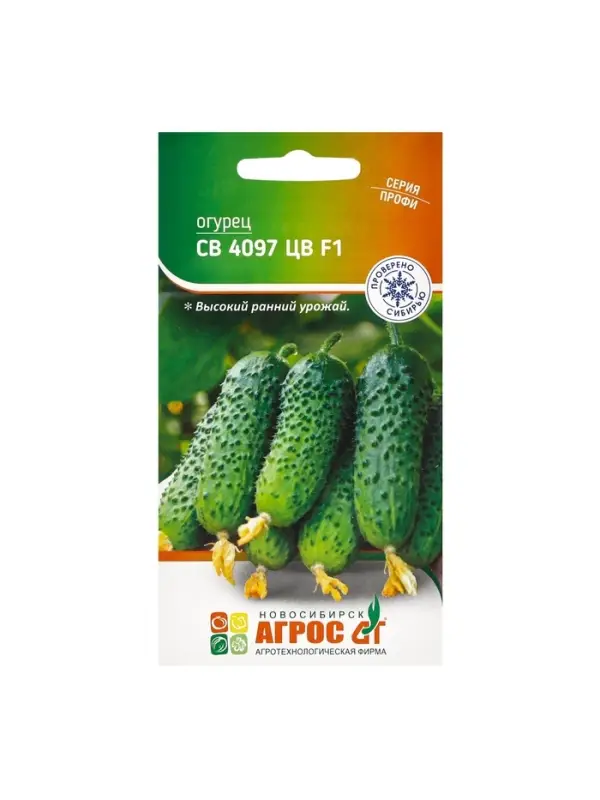 Семена Огурец, &laquo;СВ 4097 ЦВ&raquo;, F1, 8 шт., Seminis, &laquo;Агрос&raquo;