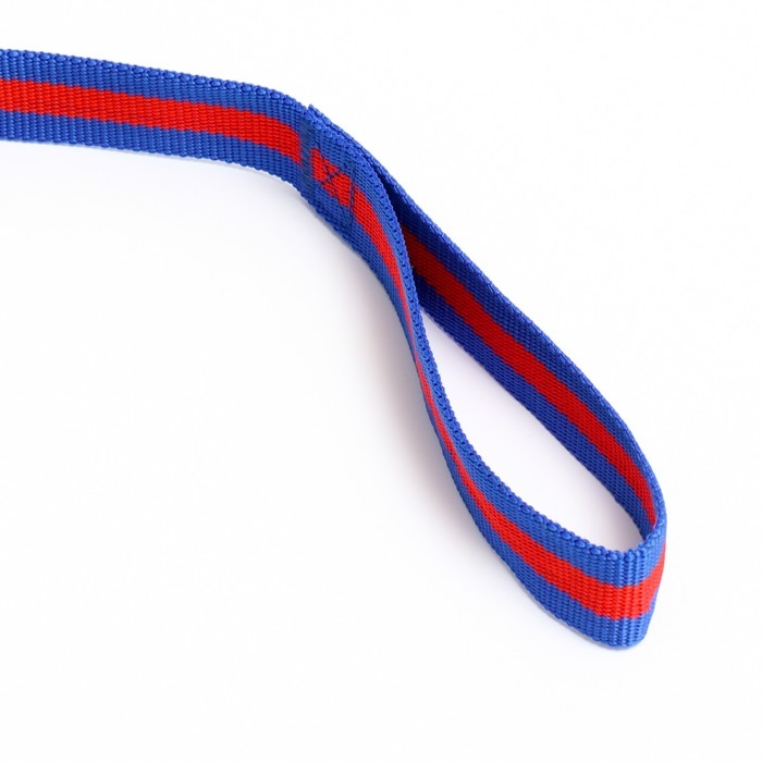 Поводок 3 м х 3 см, сине-красный Поводок 3 м х 3 см, сине-красный