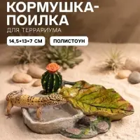 Кормушка для террариума, 14.5&times;13&times;7 см