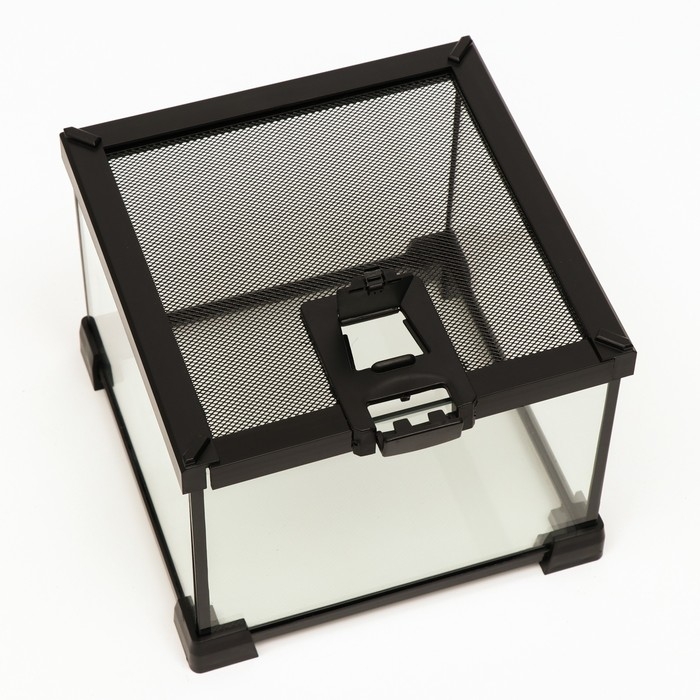 Террариум для рептилий 6,4 л, с креплением для предотвращения побега, 20 х 20 х 16 см Террариум для рептилий 6,4 л, с креплением для предотвращения побега, 20 х 20 х 16 см