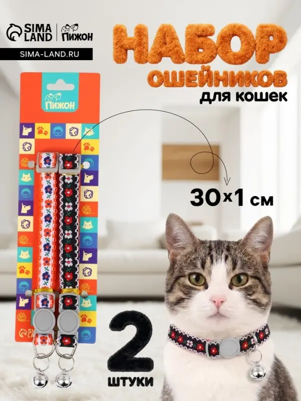 Набор ошейников для кошек &laquo;Пижон. По-полюшку&raquo;, 30&times;1 см, оранжевый, чёрный