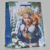Пакет подарочный &laquo;Снегурочка&raquo;, 18&times;10&times;22.3 см