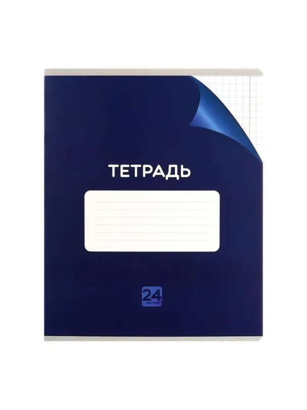 Набор тетрадей 24 листа в клетку Calligrata "Сочный Микс. Паттерн", серые листы, МИКС, 10 шт.