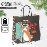 Пакет подарочный новогодний &laquo;Косяки наше всё&raquo;, 22&times;22&times;11 см