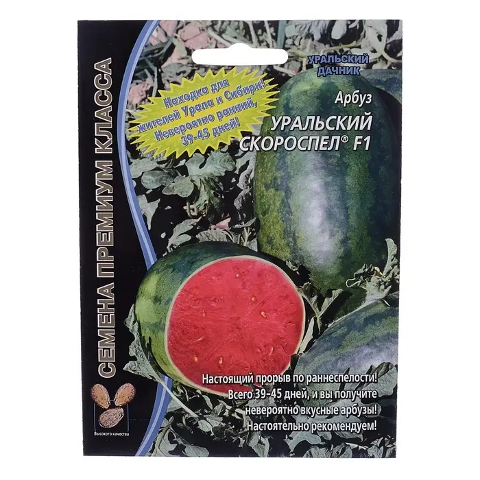 Семена Арбуз &laquo;Уральский Скороспел&raquo;, F1, 3 шт., &laquo;Уральский дачник&raquo;