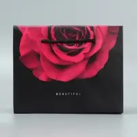 Пакет—коробка, подарочная упаковка, «Beautiful», 23 х 18 х 11 см
