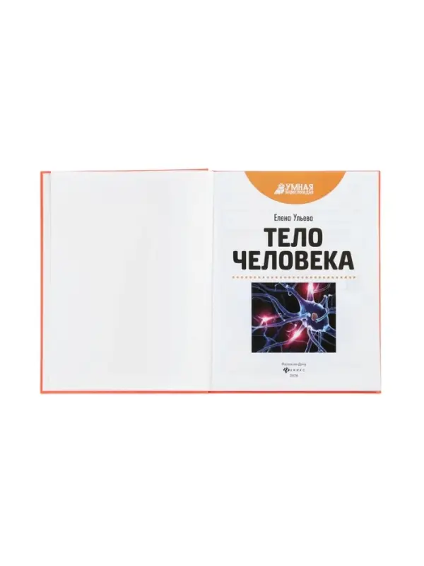Эциклопедия "Тело человека", Ульева Е.А.
