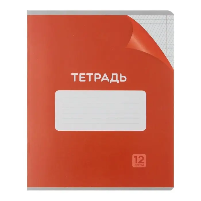 Комплект тетрадей из 10 штук, 12 листов в частую косую линию Calligrata "Однотонная Классика с уголком. Эконом", обложка мелованный картон, ВД- лак, блок №2, белизна 75% (серые листы), 5 видов по 2 штуки