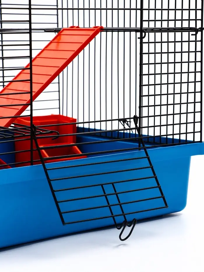 Клетка для грызунов "Мини" двухярусная, 29 x 25 х 32 см, синий Клетка для грызунов "Мини" двухярусная, 29 x 25 х 32 см, синий