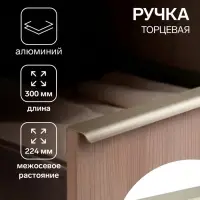 Ручка профильная мебельная торцевая CAPPIO RT002AU, L=300 мм, м/о 224 мм, сатиновое золото