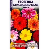Семена Георгина Краснолистная см /Сотка/ 0,1 г (40-50см, махр и полумахр)/*1500