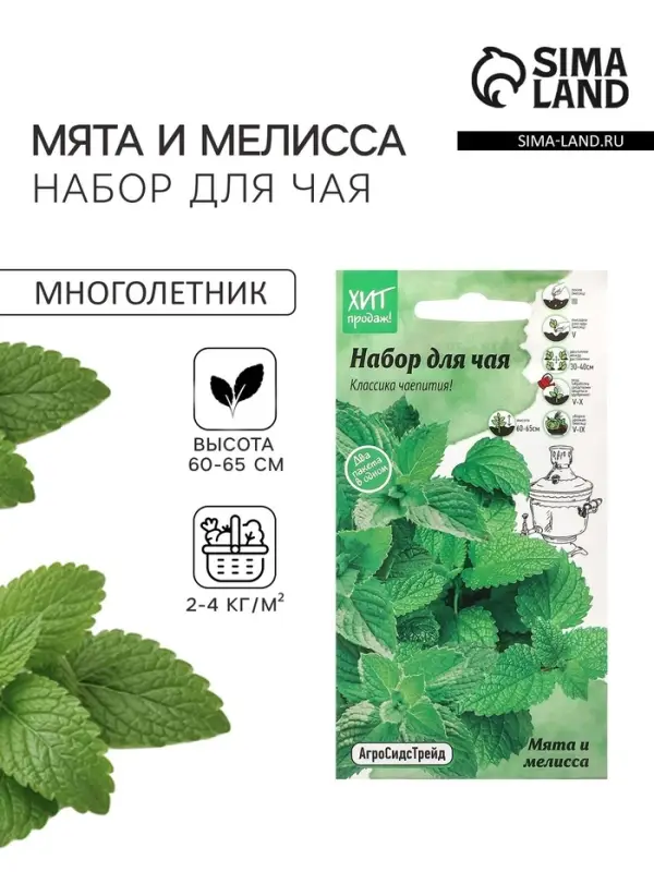 Семена Мята и мелисса &laquo;Набор для чая&raquo;, 0.23 г, смесь, &laquo;АгроСидсТрейд&raquo;