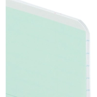 Тетрадь ЛИНИЯ 12л.проз.пласт.обл.plastic cover КЛАССИКА NEW ЗЕЛЕНАЯ,12-1416