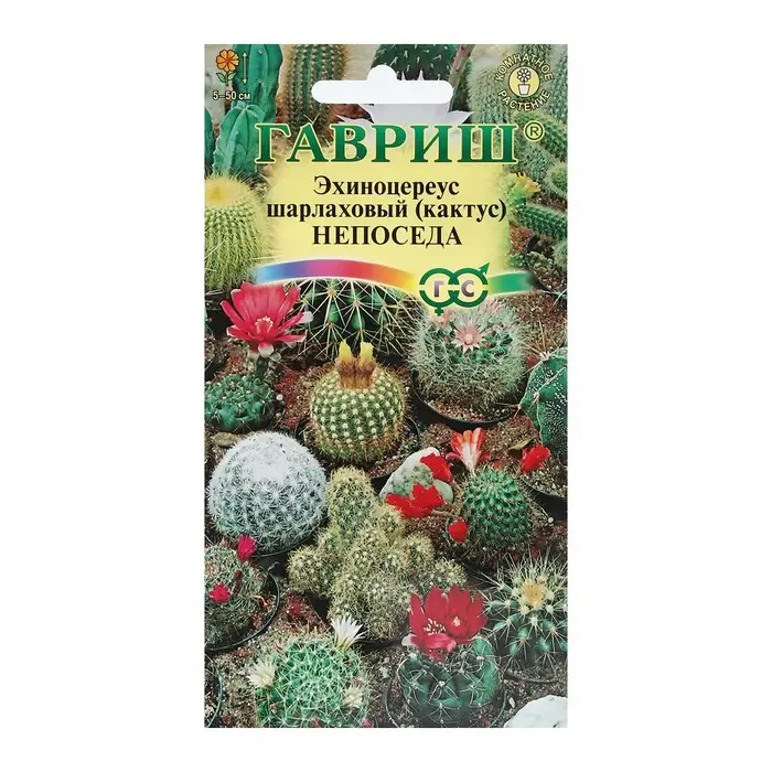 Семена комнатных цветов Кактус  Семена комнатных цветов Кактус "Непоседа", ц/п,  0,05 г