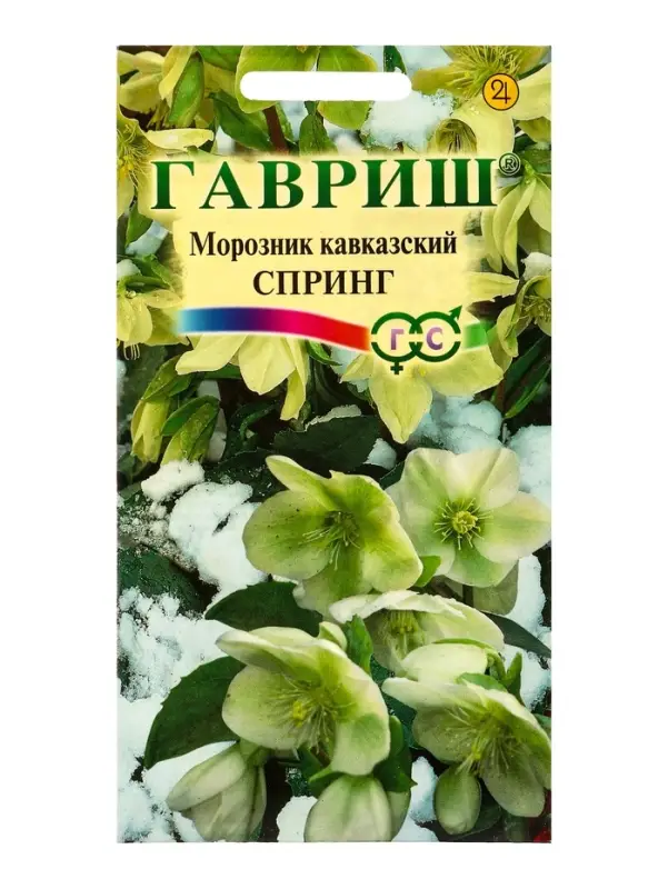 Семена цветов Морозник кавказский Спринг (лимонно-зеленый)* 0,1 г DHп