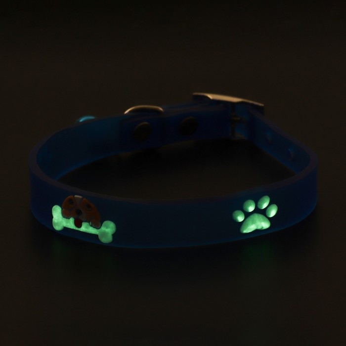Ошейник со светящимися элементами Ошейник со светящимися элементами "Наслаждение", 30 х 1 см, голубой