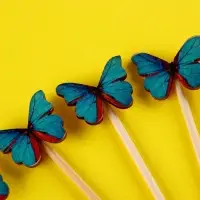 Шпажки бабочки, набор 6 шт, цвет МИКС