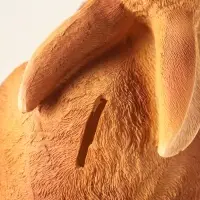 Копилка для денег &laquo;Кролик&raquo;, 13&times;12&times;18 см, коричневый