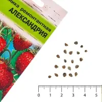 Семена Земляника &laquo;Александрия&raquo;, 0.04 г, ремонтантная, &laquo;Урожай удачи&raquo;