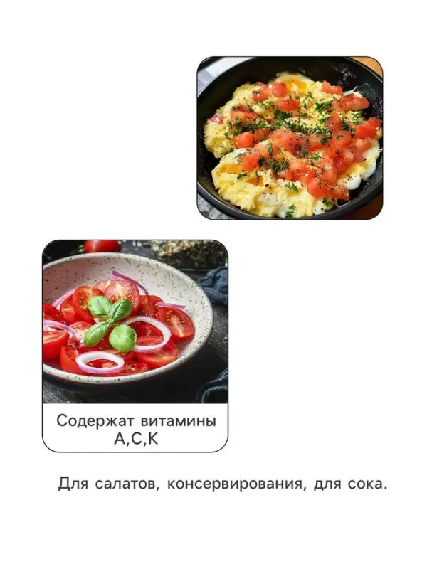 Семена Томат &laquo;Сто пудов&raquo;, индетерминантный, высокорослый, 20 шт., &laquo;Аэлита&raquo;