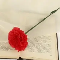 Цветы искусственные &laquo;Гвоздика красная&raquo;, h=46 см, d=8 см