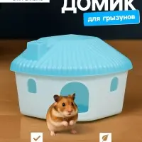 Домик для грызунов, 11.4&times;10.7&times;10.7 см, угловой, пластик, голубой