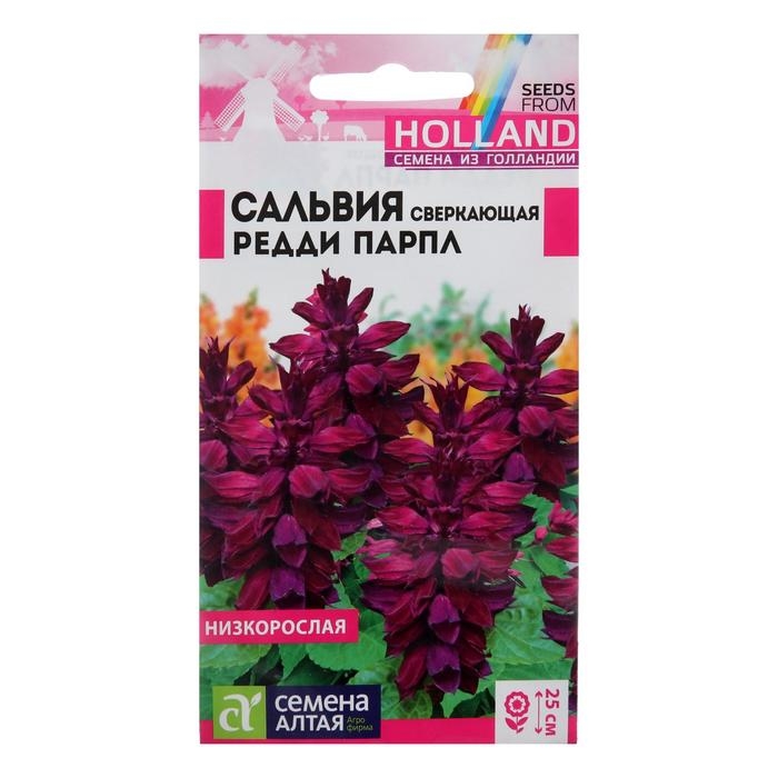 Семена цветов Сальвия  Семена цветов Сальвия "Редди Парпл", сверкающая, Сем. Алт, ц/п, 5 шт