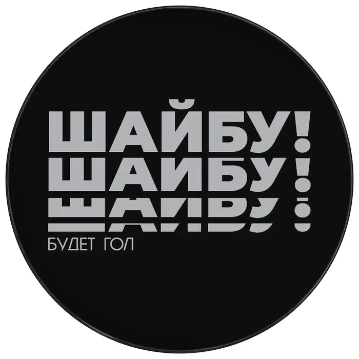 Шайба хоккейная Winter Star, взрослая, d=7.6 см