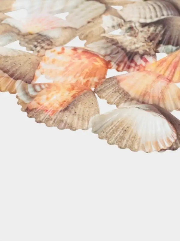 Решётка в раковину круглая Доляна &laquo;Ракушки&raquo;, 28&times;28 см