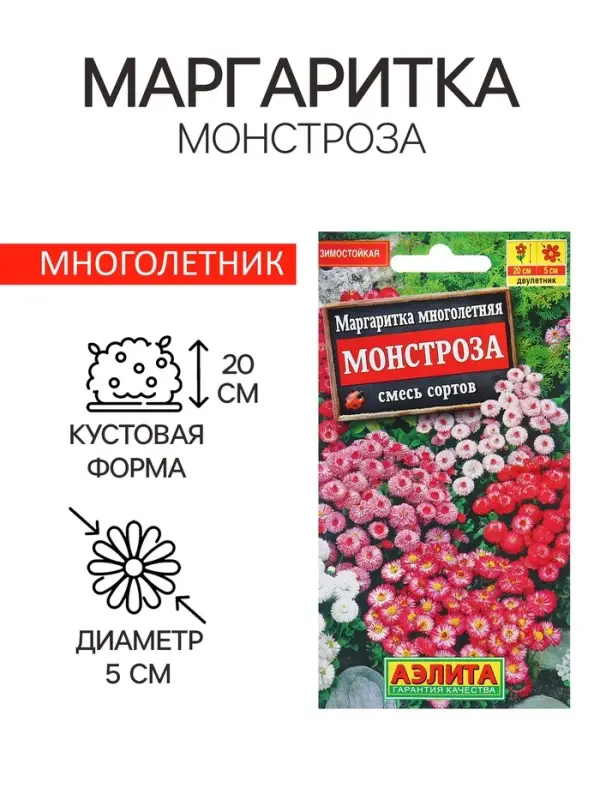 Семена Маргаритка Монстроза, смесь сортов   Дв Ц/П 0,05г Семена Маргаритка Монстроза, смесь сортов   Дв Ц/П 0,05г