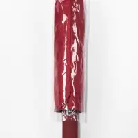 Зонт автоматический Lanford, 3 сложения, 12 спиц, R=51/60 см, d=102 см, красный