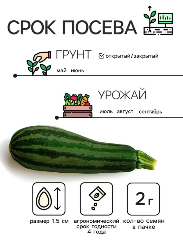 Семена Кабачок цукини  Семена Кабачок цукини "Зебра", 2 г