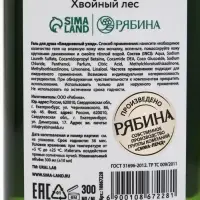 Подарочный набор новогодний: гель для душа, пена для ванны и мочалка, URAL LAB Подарочный набор новогодний: гель для душа, пена для ванны и мочалка, URAL LAB