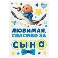 Набор магнитов на авто &laquo;Спасибо за сына&raquo;, на выписку