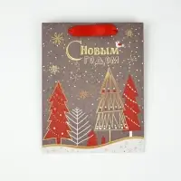 Набор пакетов &laquo;Чудесного Года&raquo;,12&times;15&times;5.5 см, 23&times;18&times;10 см, 23&times;27&times;11.5 см